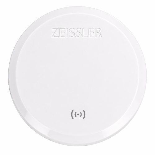 ������ ������ �������� �������� ���� ������������ ZEISSLER ������