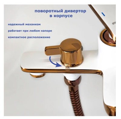 ��������� ��� ����� ���� ����� � ������� ������� �������� ��� Accoona A63123GR ������ � �������������