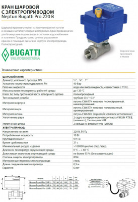 ���� ������� � ��������������� Neptun Bugatti Pro 220� 1/2 ������ ������