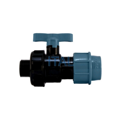 ���� �����. ��� 25�3/4" �� ITAL/SPEKTR