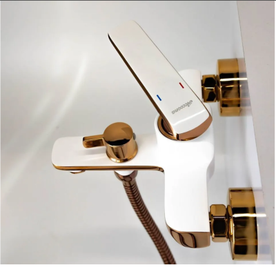 ��������� ��� ����� ���� ����� � ������� ������� �������� ��� Accoona A63123GR ������ � �������������